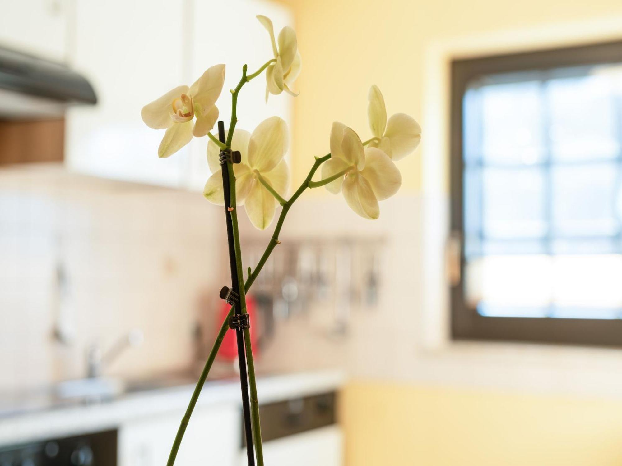A Modern Apartment In The Hunsr Ck Region S Romantic Drohn Valley Merschbach Ngoại thất bức ảnh